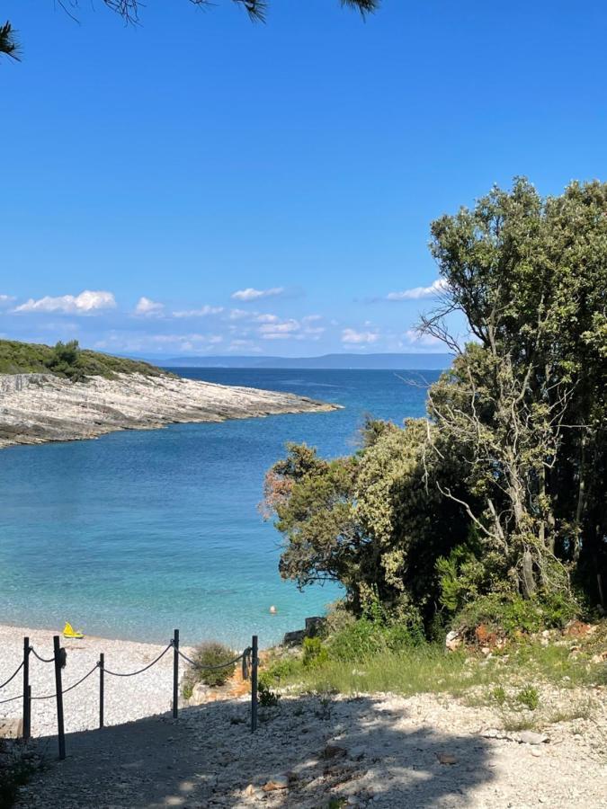 Moderne Istrische Steinvilla - 4 Sterne Mit Privatem, Beheizbaren Pool & Meerblick Kavran Εξωτερικό φωτογραφία